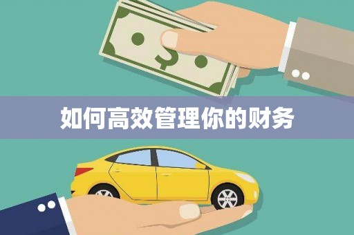 南岳如何高效管理你的财务