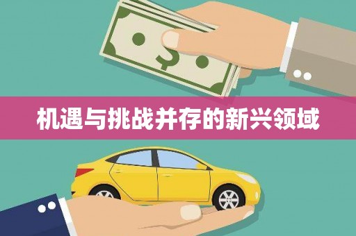 南岳机遇与挑战并存的新兴领域