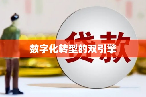 南岳数字化转型的双引擎