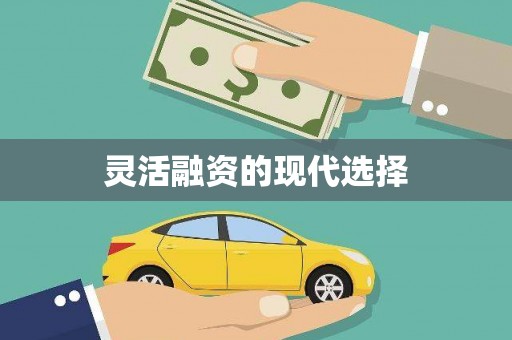 南岳灵活融资的现代选择