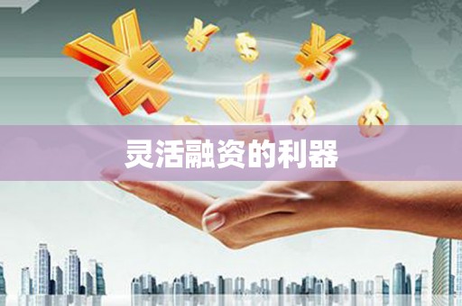 南岳灵活融资的利器