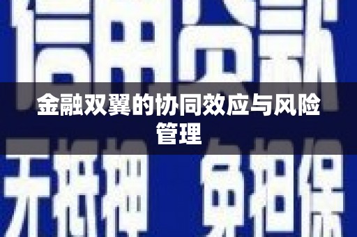 南岳金融双翼的协同效应与风险管理