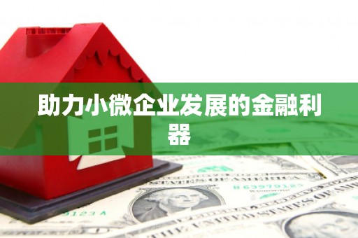 南岳助力小微企业发展的金融利器