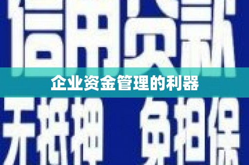 南岳企业资金管理的利器