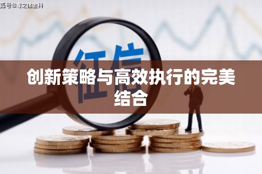 南岳创新策略与高效执行的完美结合