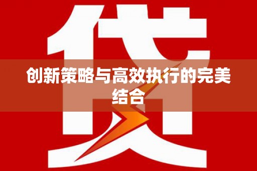 南岳创新策略与高效执行的完美结合