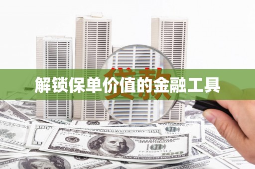 南岳解锁保单价值的金融工具