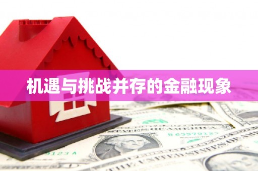 南岳机遇与挑战并存的金融现象