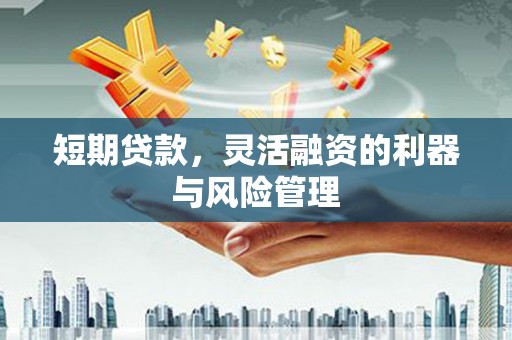 南岳短期贷款，灵活融资的利器与风险管理