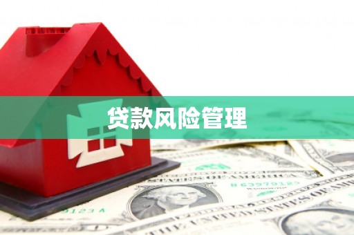 南岳贷款风险管理