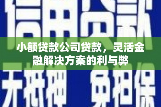 南岳小额贷款公司贷款，灵活金融解决方案的利与弊
