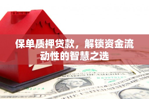南岳保单质押贷款，解锁资金流动性的智慧之选