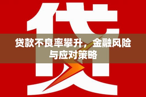 南岳贷款不良率攀升，金融风险与应对策略